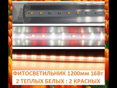 Фито светильник бело-красный