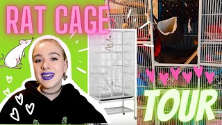 🐭MY RAT'S CAGE TOUR 2021🐁 (Cage Review)