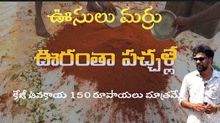 ll Usulumarru village ll Oorantha pachalle ll 150 rupees per kg Avakaya ll #village #harshasriram77