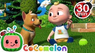 Pet Care + 30 Minutes of Cocomelon | Kids Cartoons &amp; Nursery Rhymes | Moonbug Kids