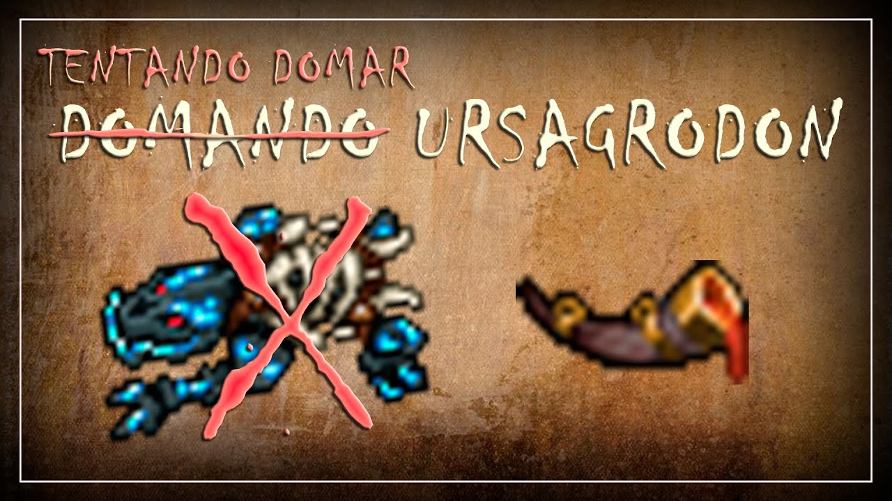 Tibia - Today is your last chance of getting a famous ursagrodon