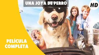 Una joya de perro | HD | Comedia | Película Completa en Español