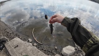 Рыбалка Абрамовка Северский Донец