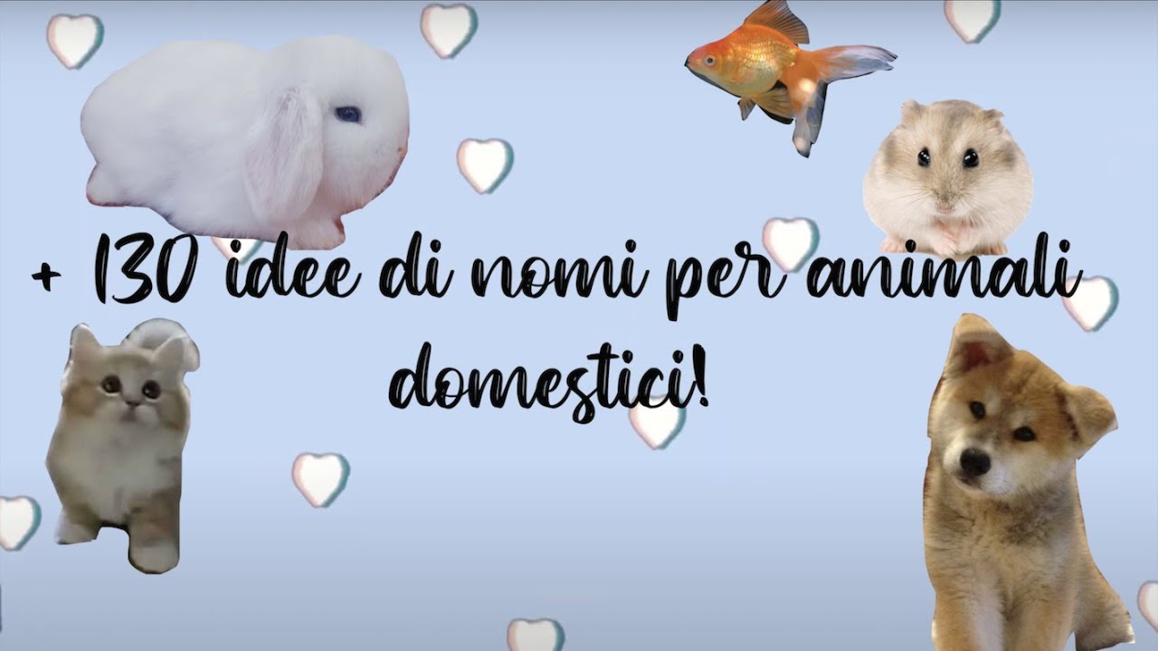 Nomi per cani con la lettera a