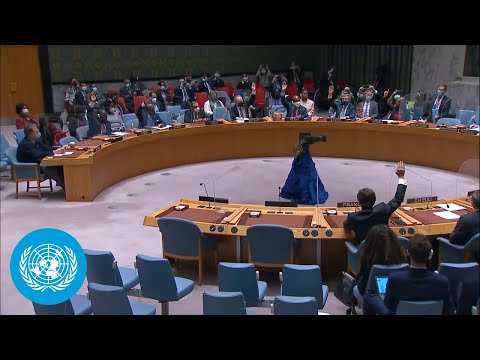 LIVE - Ukraine - Security Council, 8979th meeting | United Nations | UN WebTV (25 Feb) - Official