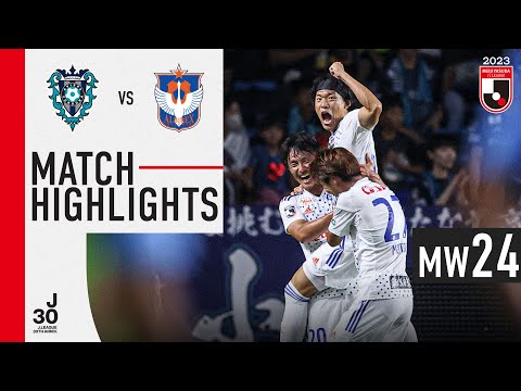 Avispa Fukuoka Niigata Goals And Highlights