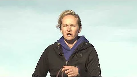 Leslie Bingham  What I Look for When Buying a Horse