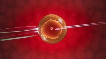 Genetic Testing & Carrier Screening Can Help Those Starting a Family | The Balancing Act