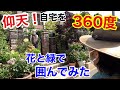 【３６０度庭】普通の家を花と緑の庭で囲む個人邸紹介します　【カーメン君】【園芸】【ガーデニング】【初心者】【福田邸の庭】【愛知オープンガーデン】