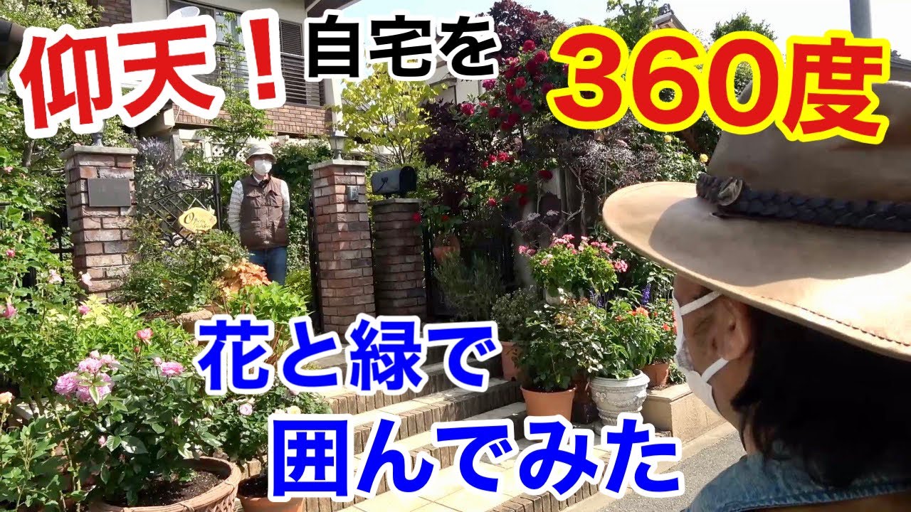 ３６０度庭 普通の家を花と緑の庭で囲む個人邸紹介します カーメン君 園芸 ガーデニング 初心者 福田邸の庭 愛知オープンガーデン Youtube