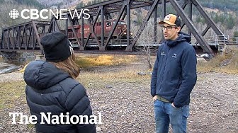 Thumbnail for Railway collisions are killing B.C. wildlife. These people are trying to reduce them