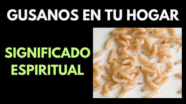 Gusanos en la casa  Significado espiritual #gusanos #moscas #espiritualidad