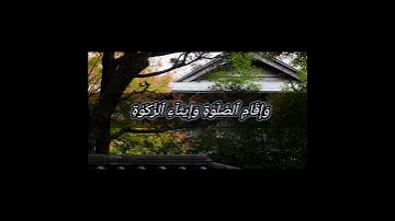 قرآن الكريم سورة النور الآية 37