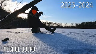 В безуспешных попытках поймать Ротана - Первый Лед 2023-2023 на Лесном Озере