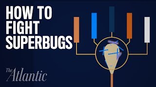 How to Fight Superbugs