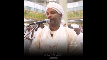 سورة : الأحزاب | الآية : ٥٦ -٥٩ | القارئ : الزين محمد أحمد #Viral #Foryou #FYP #Islam #Quran