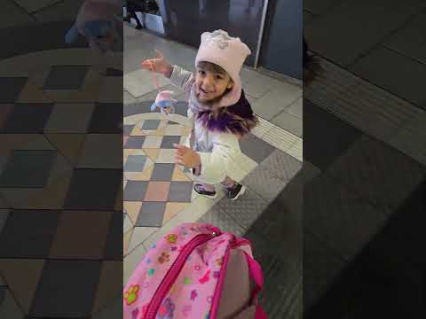 يابوبو بلقيس اشترت