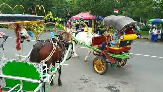 naik kuda🌹alun alun Kajen Pekalongan #naikdelman #naikkuda