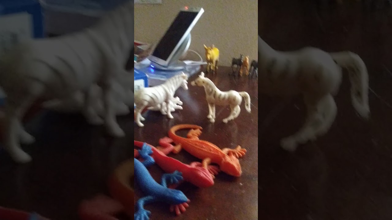 how to play predator and prey