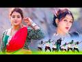 New Nagpuri Nonstop Video 2026 | Suit Me Cute | Singer Kumar Pritam Suman Gupta | Shivani & Kailash