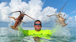 How to {CATCH CLEAN COOK} Lobsters, in totally New Area - Florida Keys