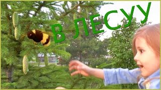 Семья Bagdasaryan Прогулка в лесу парка Кашкадан г.Уфа Россия.Семья.Дети.Отдых.Родители Семья Bagdasaryan Прогулка в лесу парка Кашкадан г.Уфа Россия.Семья.Дети.Отдых.Родители