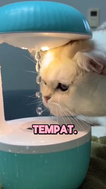 Mukidi #jokes #subscribe #nyata