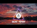 Balynt  memory vlog no copyright music  royalty free music