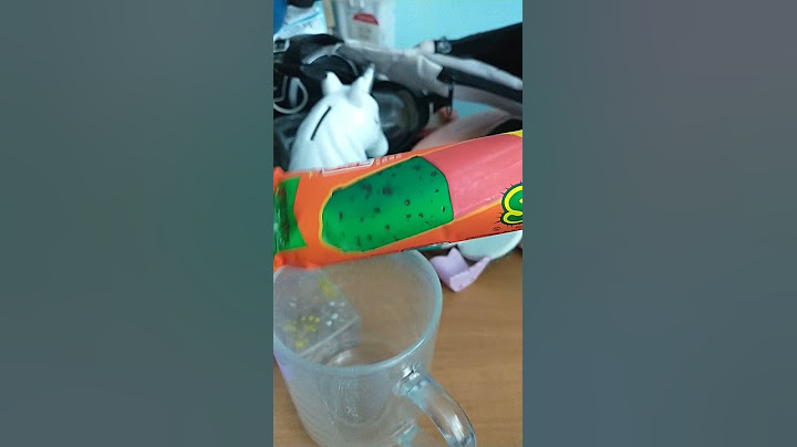 lody kaktus papierki ekipa
