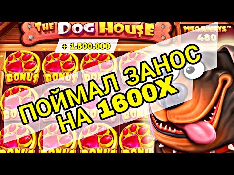 ПОКУПАЮ ДОРОГИЕ БОНУСКИ В THE DOG HOUSE MEGAWAYS / ПОЙМАЛ ЗАНОС НА Х1600 ПО.. ( ЗАНОСЫ НЕДЕЛИ )
