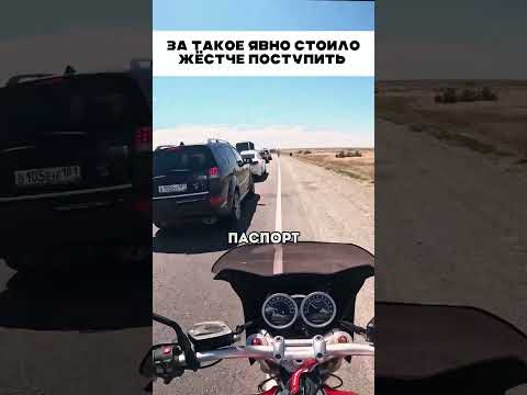 Стоило жёстче поступить с ним 😱