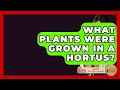 What Plants Were Grown In A Hortus? - All About Rome