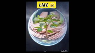 Future Earth in 111Trillion 🌍🌎🌍🥹🥹💀💀🌍🌎🌍🌎