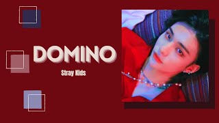 [1시간/ 1 HOUR LOOP] Stray Kids - DOMINO