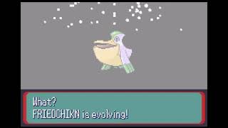 Shiny Wingull Evolves Into Shiny Pelipper
