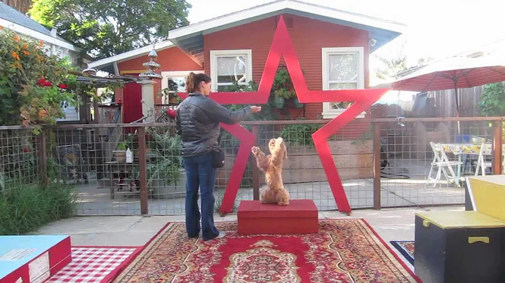 Puzzle Comes For A Visit.