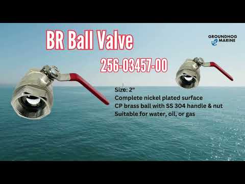 BR Ball Valve 256-03457-00