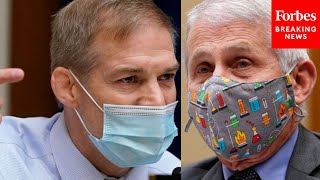 Viral Moment Of The Week: Jim Jordan's Battle With Dr. Fauci Descends Into Congressional Shouting