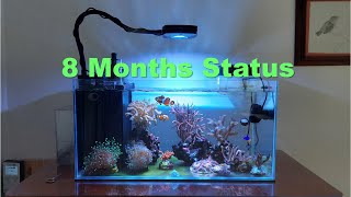 25 - 8 Months Update, Nano-Reef Upgrade by Peter Reef 526 views 9 months ago 2 minutes, 4 seconds