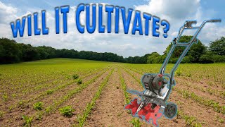 The Cheapest Cultivator You Can Buy    Legend Force Cultivator Gas Tiller Review