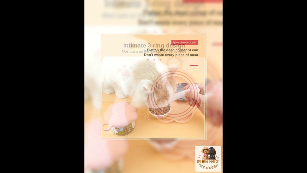 Multifunction Pet Canned Wet Dry Scoop Spoon Jar Opener