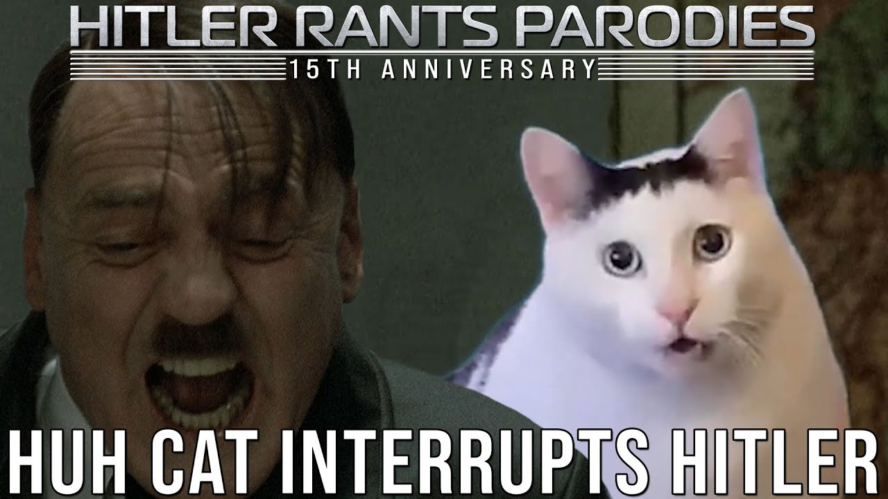 Huh Cat interrupts Hitler
