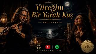 Yüreğim Bir Yaralı Kuş 🕊️💔| Veli Kaya™ Duygusal Melankolik Yeni 