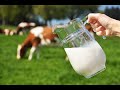 Запрет на натуральное молоко в Европе. Можно ли в Испании питаться натуральными продуктами ?