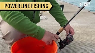 Spring has sprung and powerline fishermen are back on Chicago's