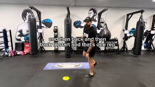 Exercise Tutorial - Single Leg Hop Scotch