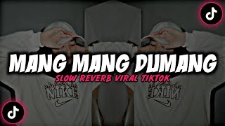 DJ MANG DUMANG ( SLOWED \u0026 REVERB ) 🎧
