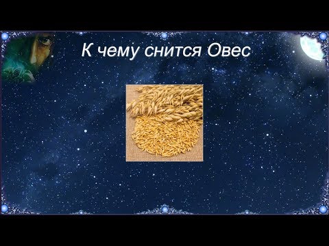 К чему снится Овес (Сонник)