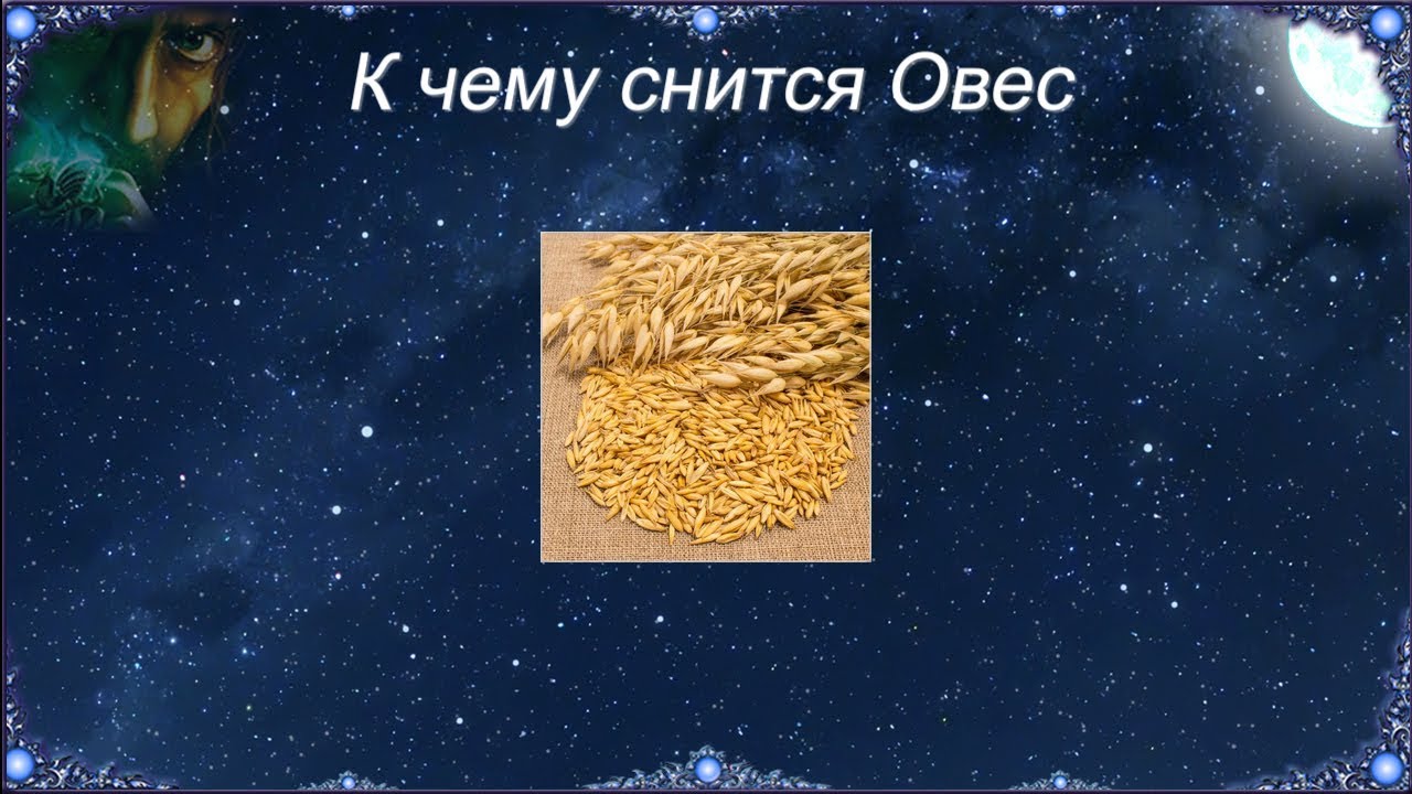 К чему снится Овес (Сонник)