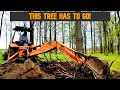 Clearing Trees with a Backhoe - Case 580K